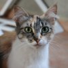 Chat 05