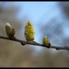 Un air de printemps