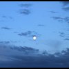 Blue night
