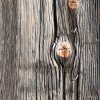 Texture en bois