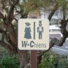 WC chiens