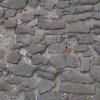 Cordes-sur-Ciel